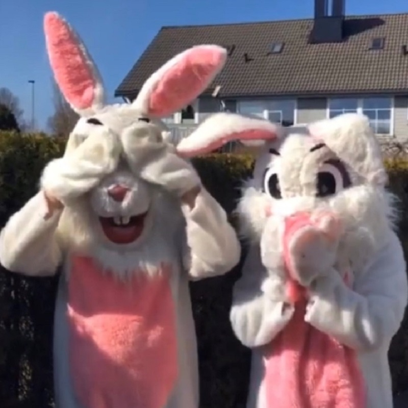 Påskehare - Bilde 3