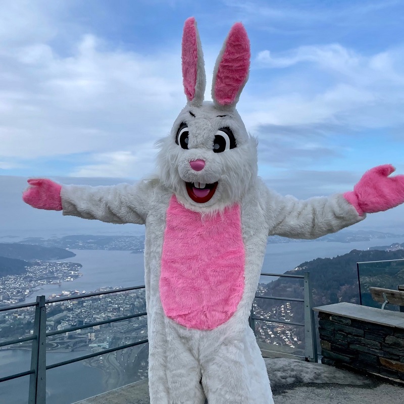 Påskehare - Bilde 4