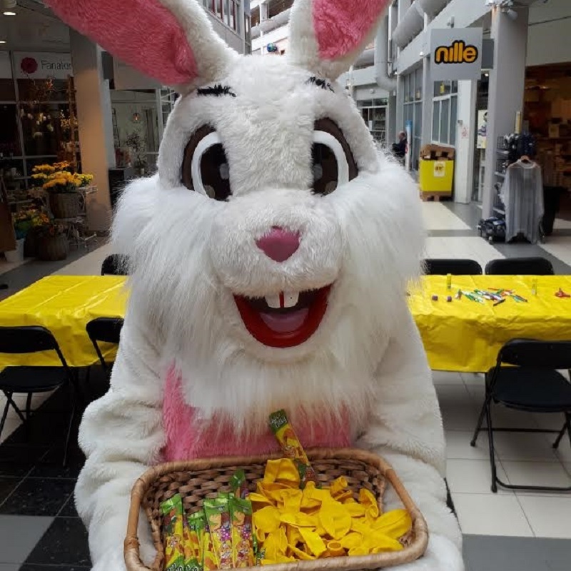 Påskehare - Bilde 5