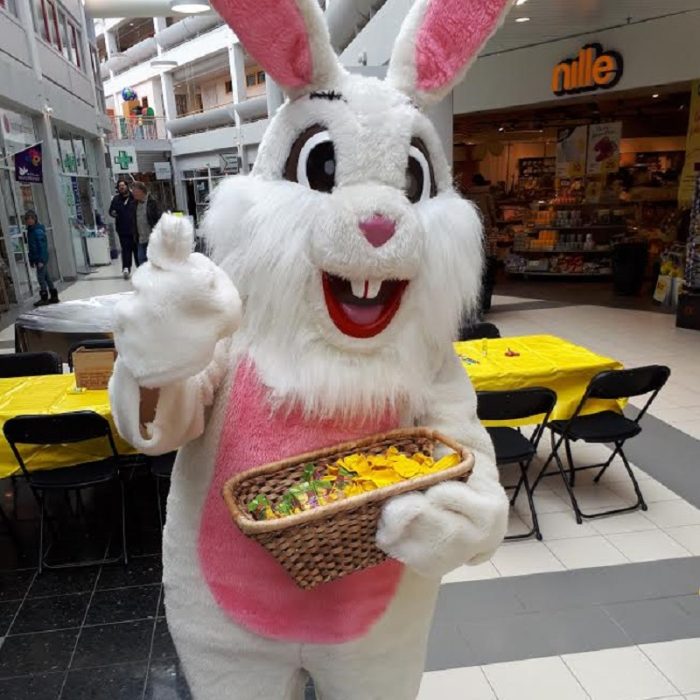 Påskehare – Event tjenester