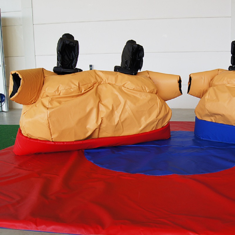 Tvillingsumo - Bilde 2