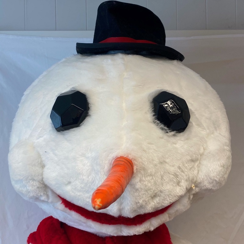 Maskot - Kalle - Bilde 5