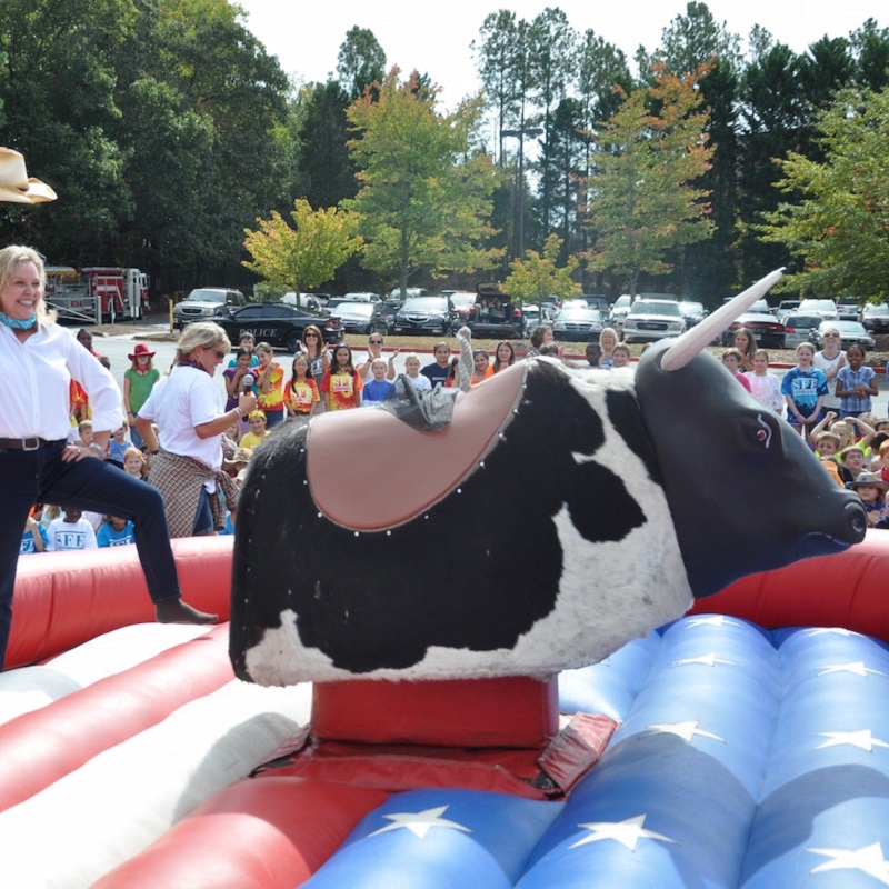 Rodeo Okse - Bilde 2