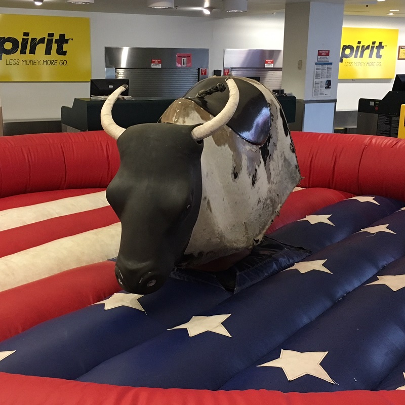 Rodeo Okse - Bilde 3