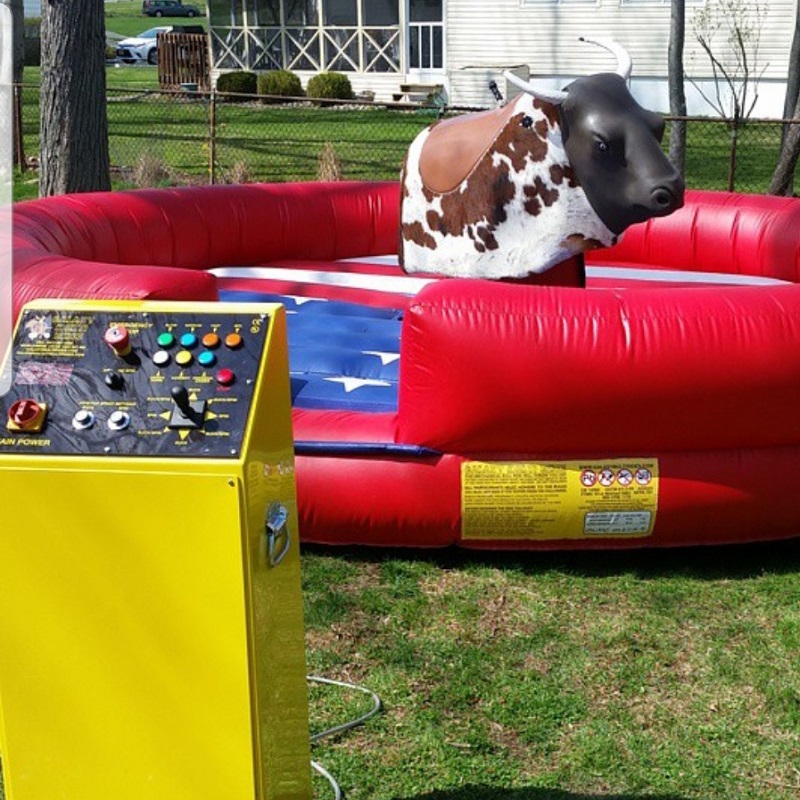 Rodeo Okse - Bilde 4