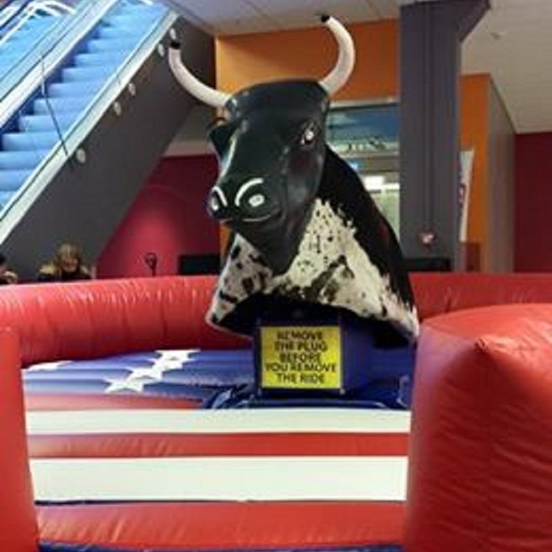 Rodeo Okse - Bilde 6