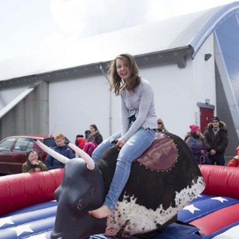 Rodeo Okse - Bilde 5