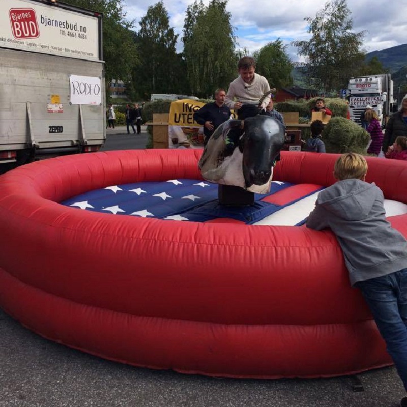 Rodeo Okse - Bilde 8